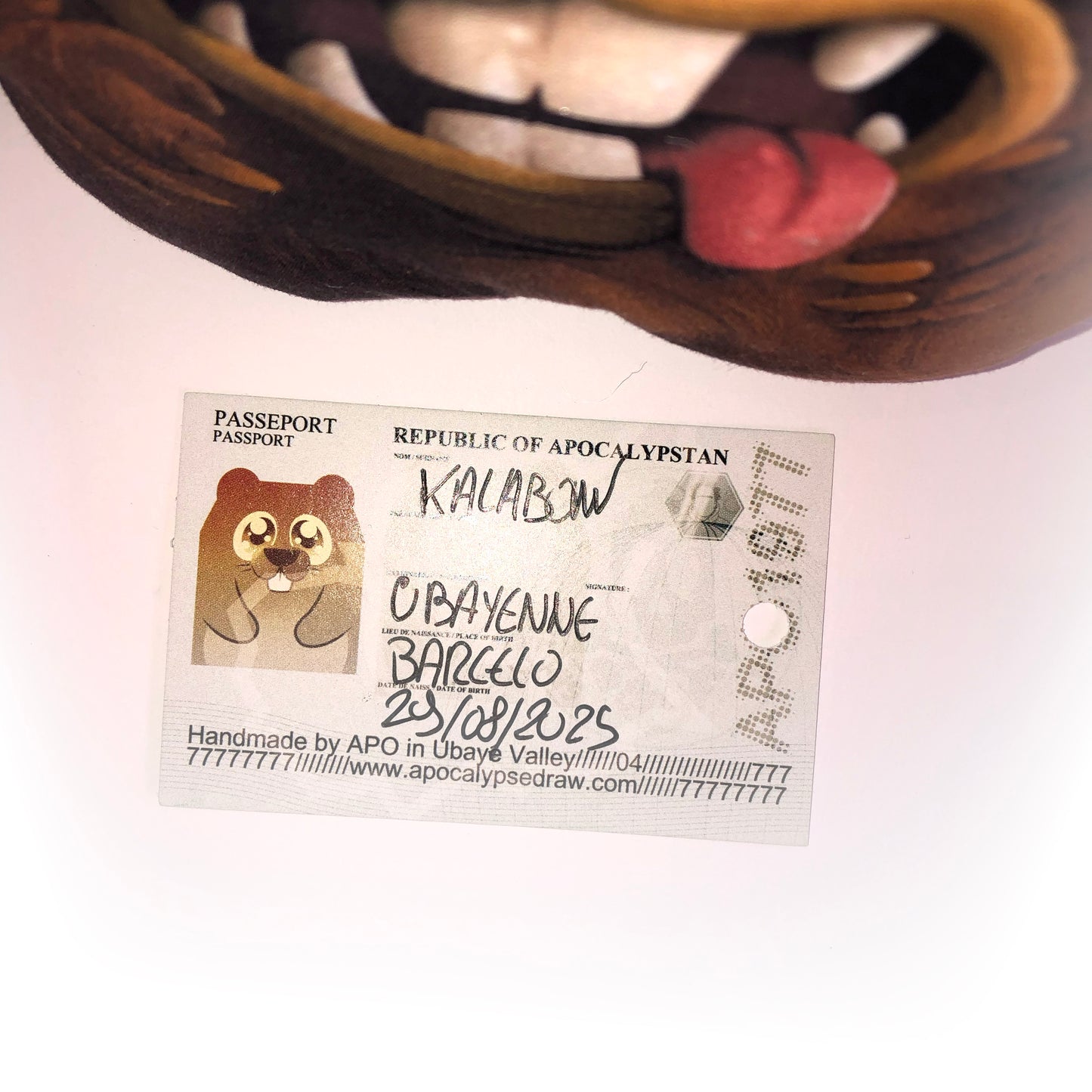 Peteta Marmota - Wookiee