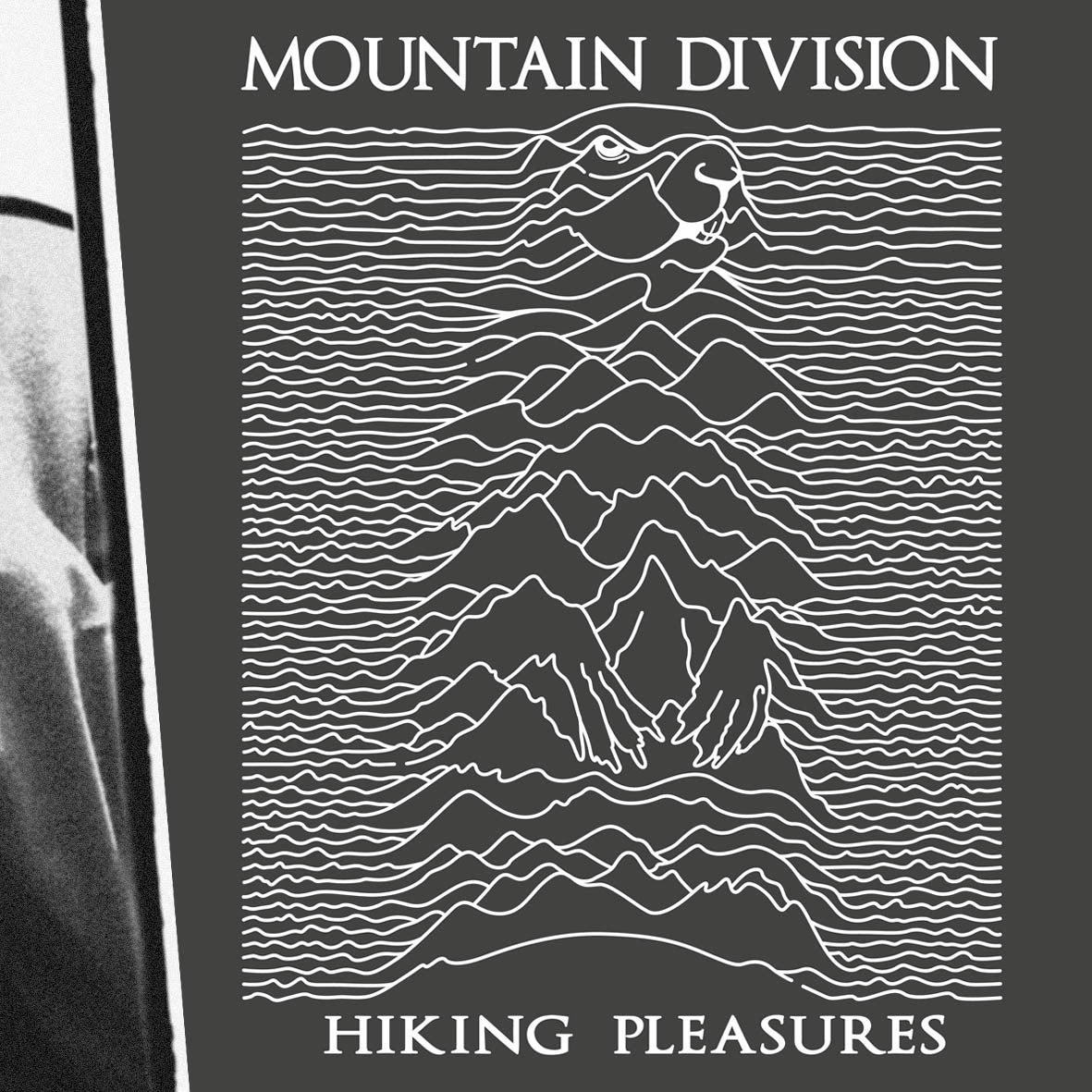 Moutain division