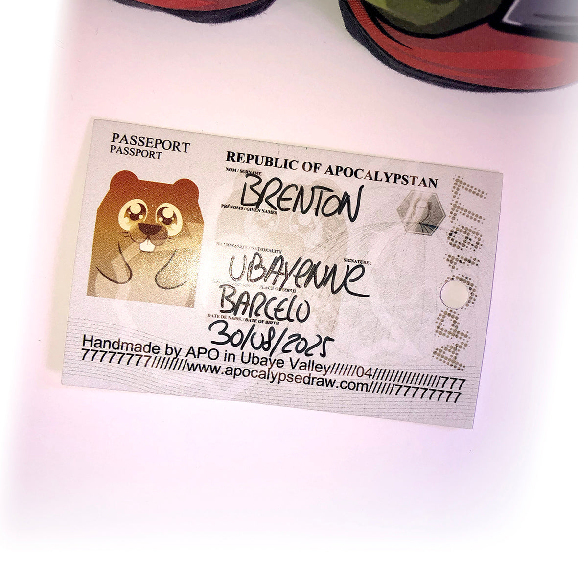 Peteta Marmota - Robin